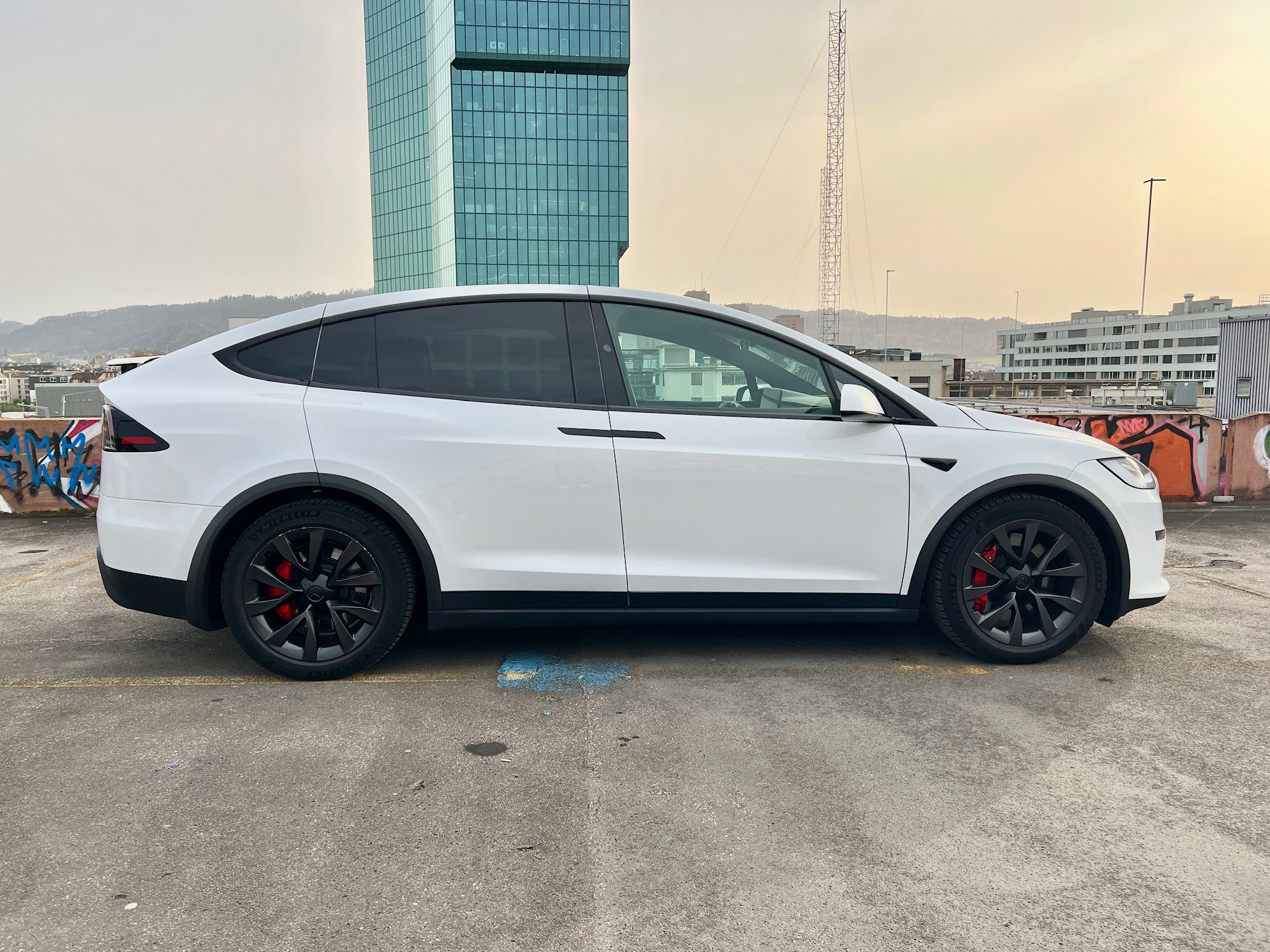 Tesla Tesla Model X Plaid Tiger
