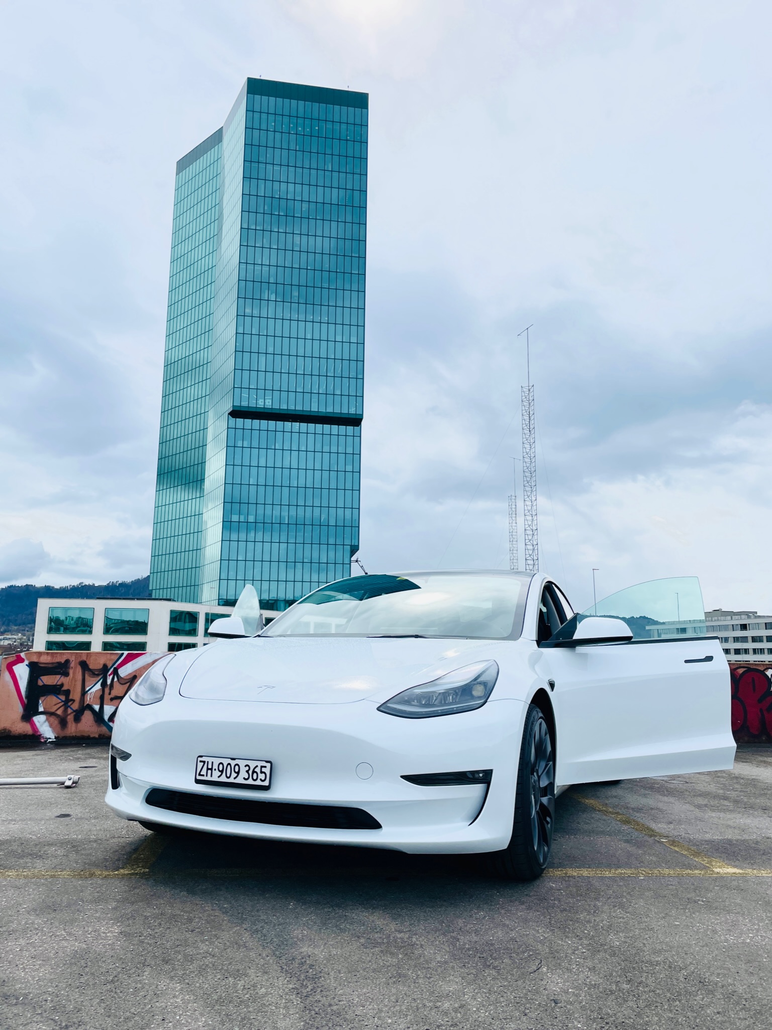 Tesla Tesla Model 3 Performance Pingu